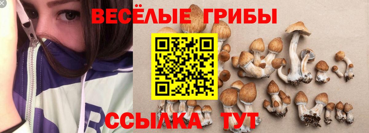 Галлюциногенные грибы GOLDEN TEACHER  Вход с VPN  Карталы 